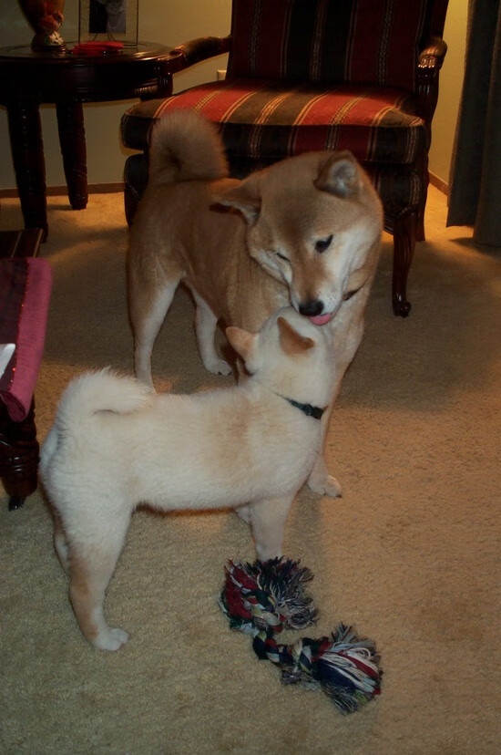 乐鱼电竞· (中国)官方网站-库策突破极限创造新高峰，库洛策划