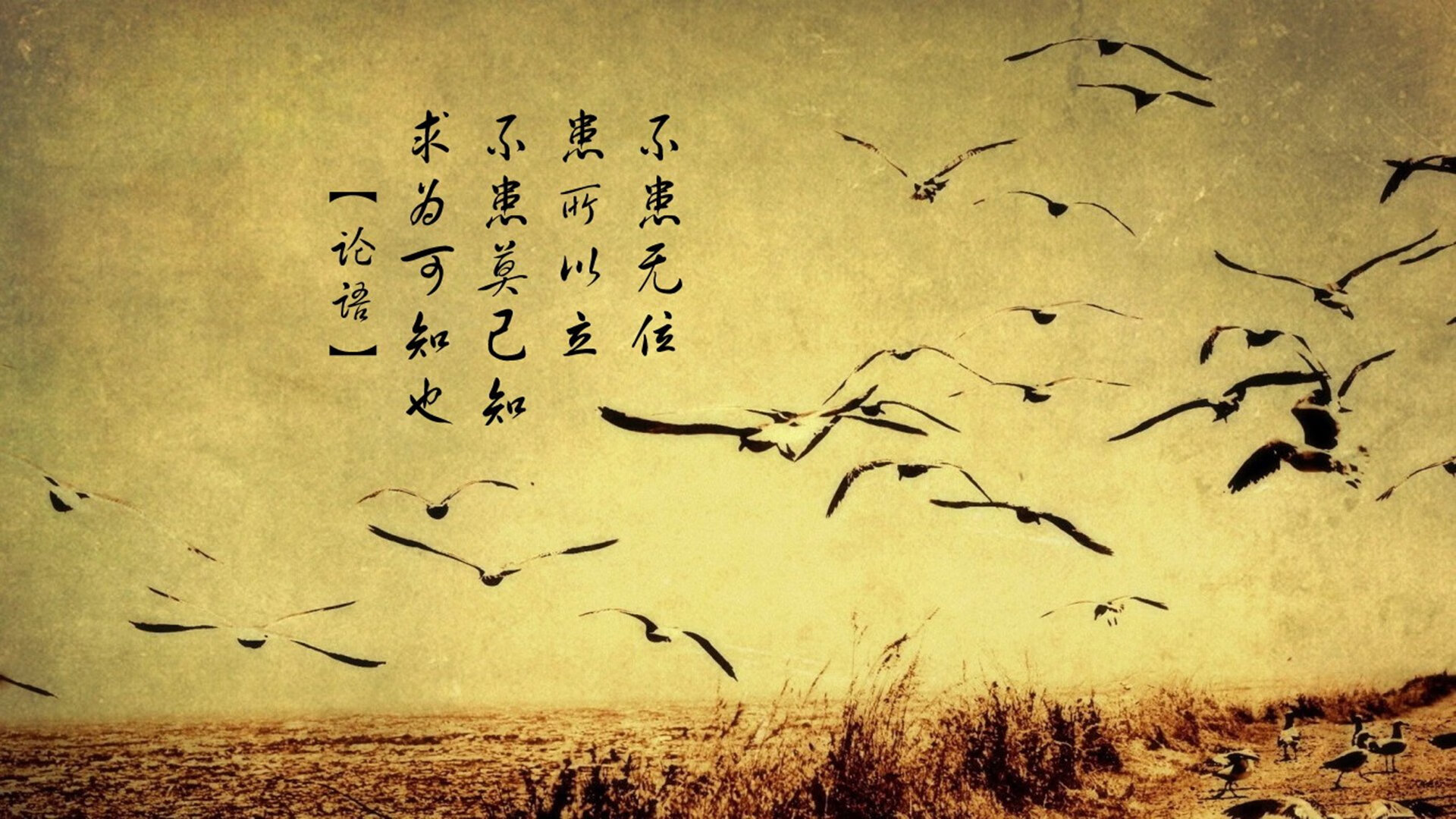 乐鱼（中国）体育官方网站-游泳与跳水项目总体表现保持均衡，跳水和游泳哪个影响力大