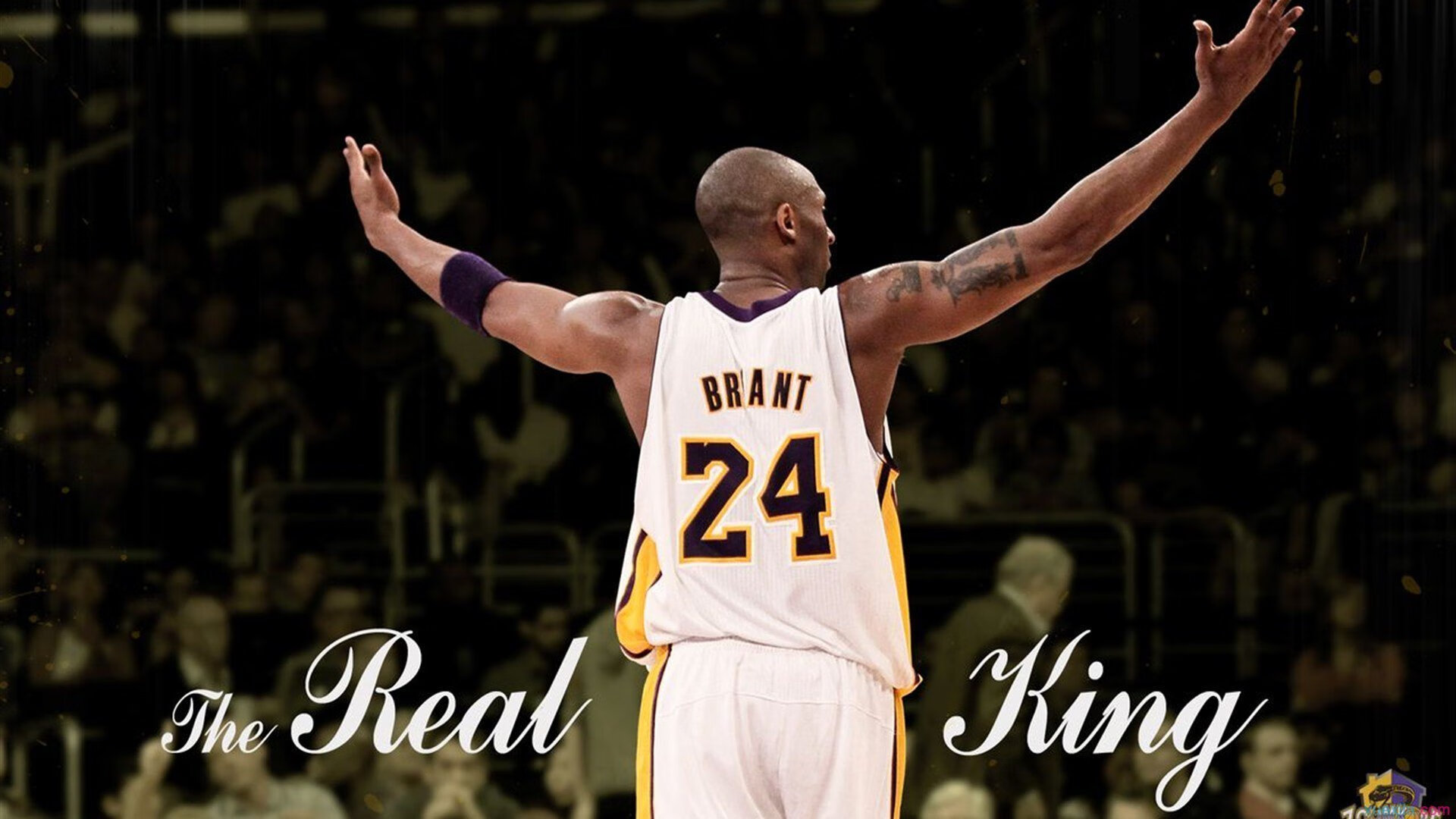 田径运动员训练技巧分享，田径运动员的训练方法