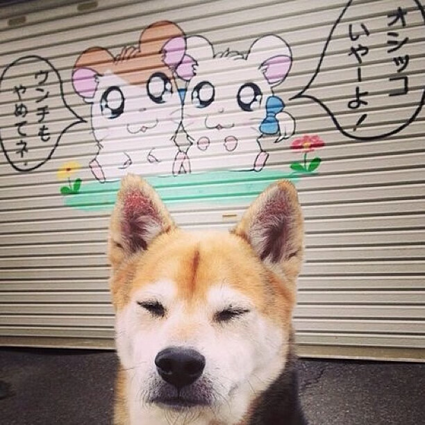 中国足球赛季广告赞助政策与法务合同规范，足球赞助招商方案模板